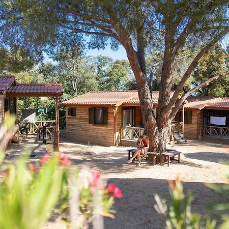 Feriendorf La Mora Calvi  Eksteriør billede
