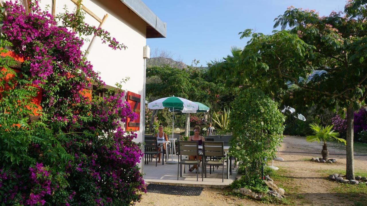 Feriendorf La Mora Calvi  Eksteriør billede